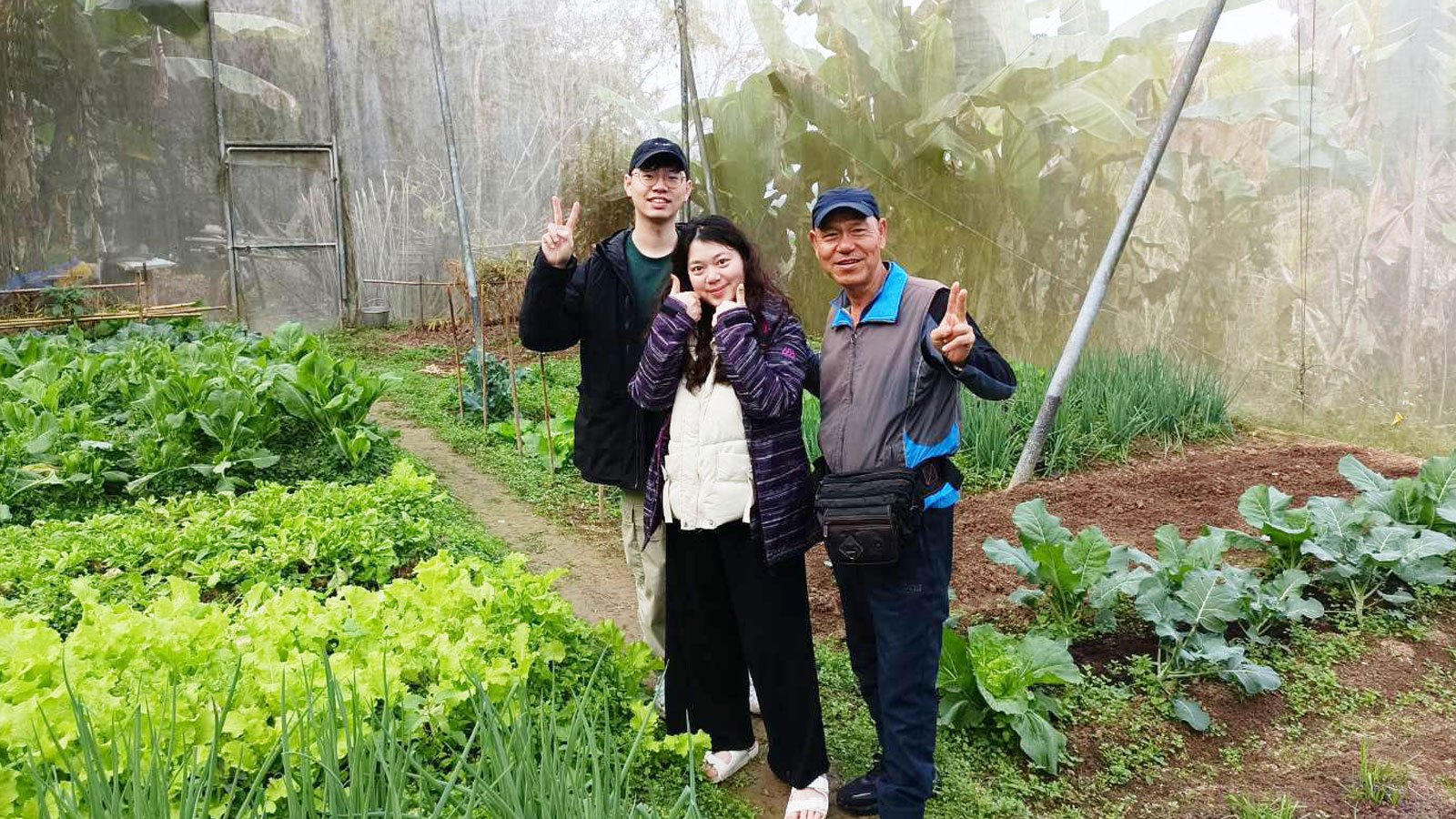 橄欖園森林度假民宿 圖片